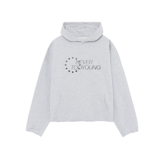 Cropped New Age Hoodie (grau)